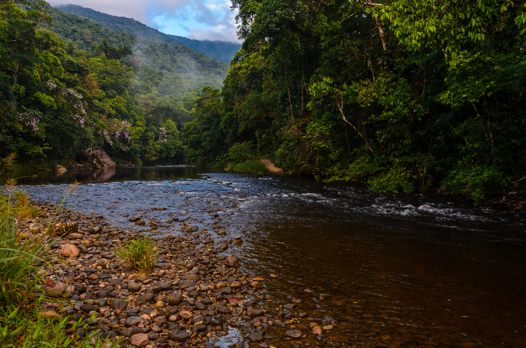 vista de uma das trilhas