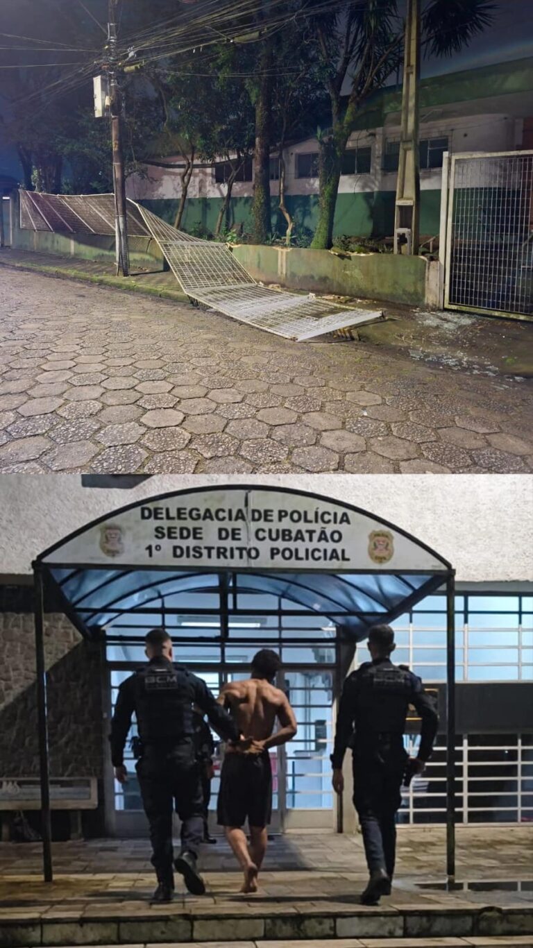 imagem da apreensão