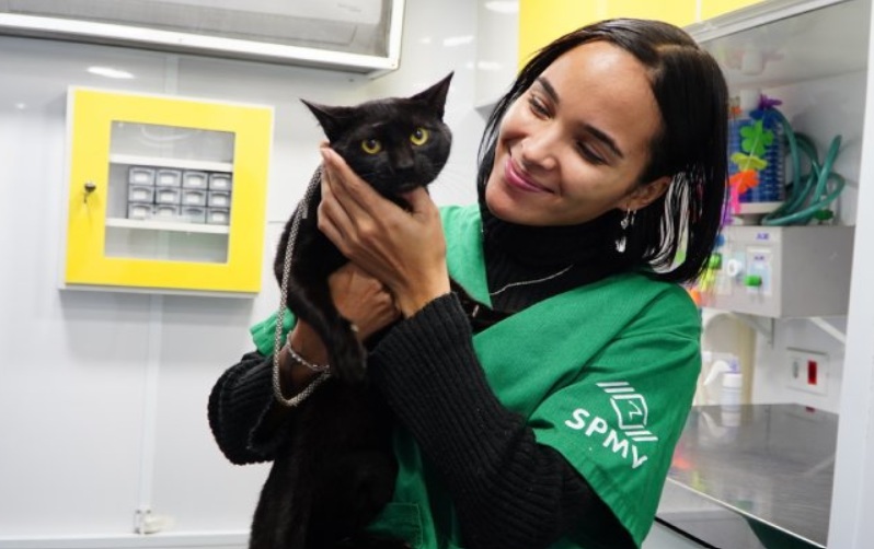 imagem de atendimento a pet