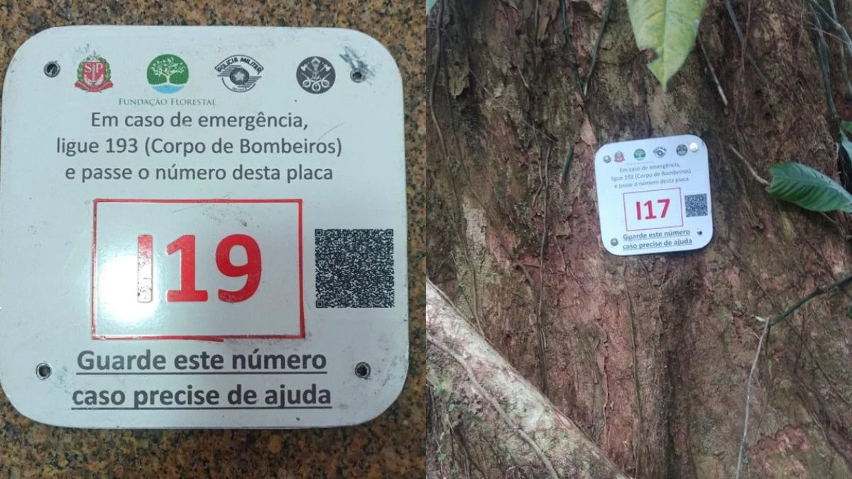 Placas de orientação